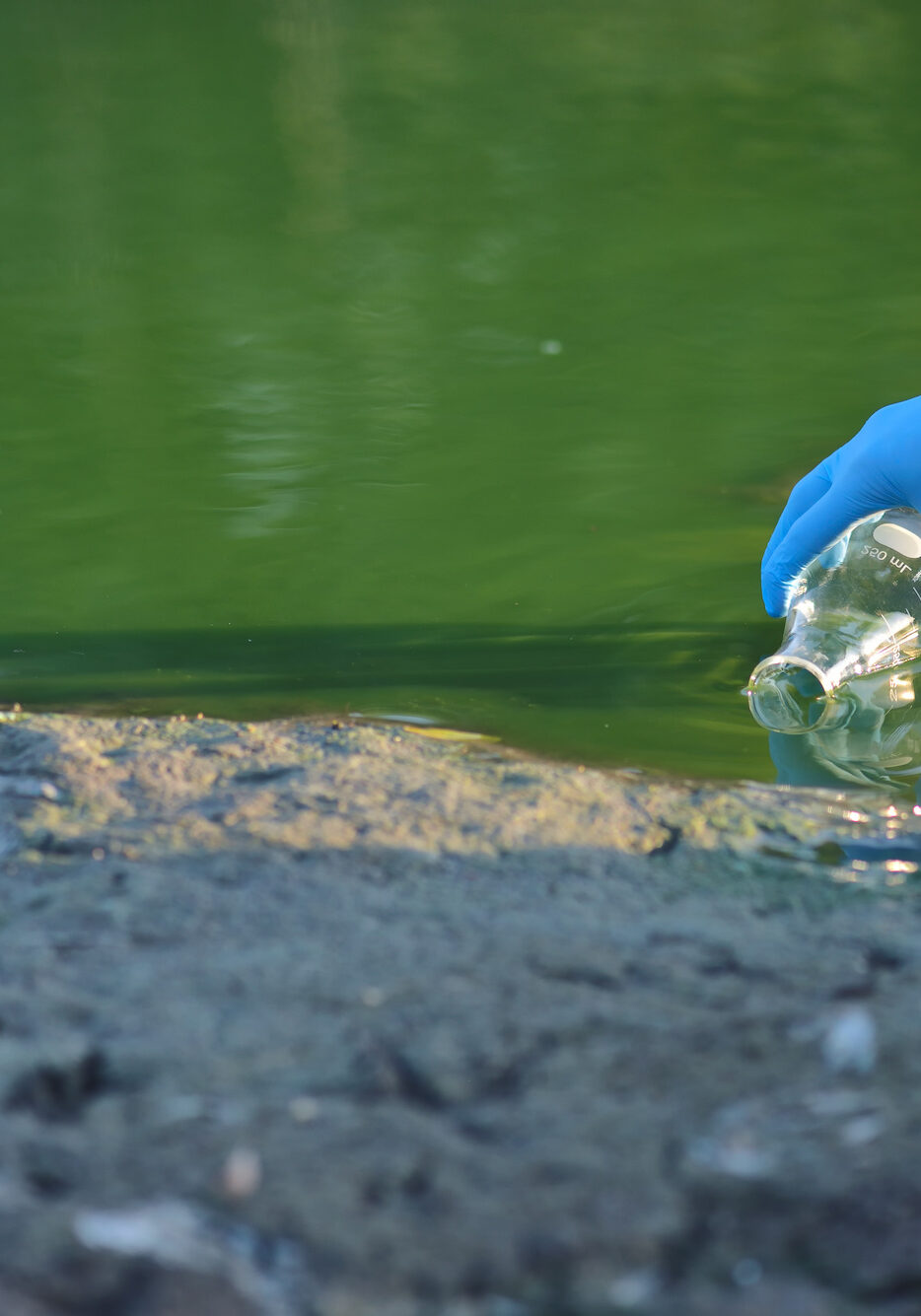 Close-up environmentalist hand of a researcher in a process of taking a sample of contaminated water from a lake